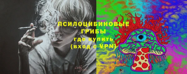 МДПВ Алексеевка