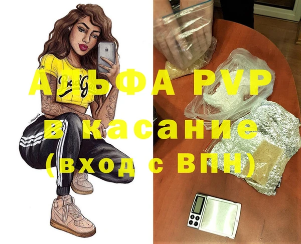 стаф Дегтярск